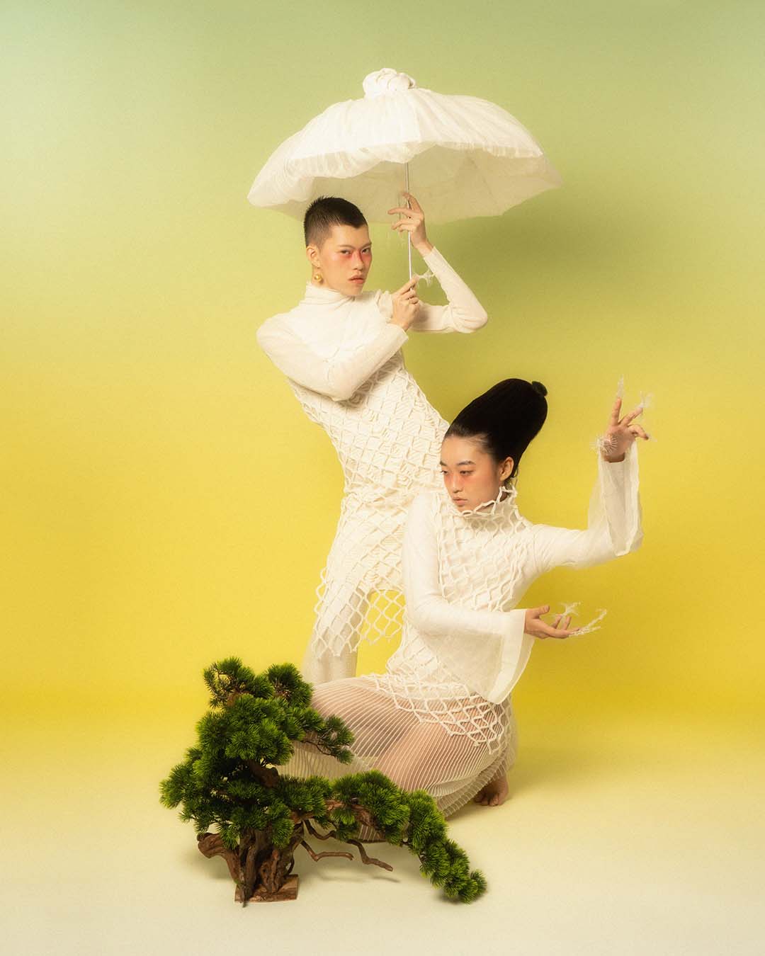 MUSHROOM — Look 4
