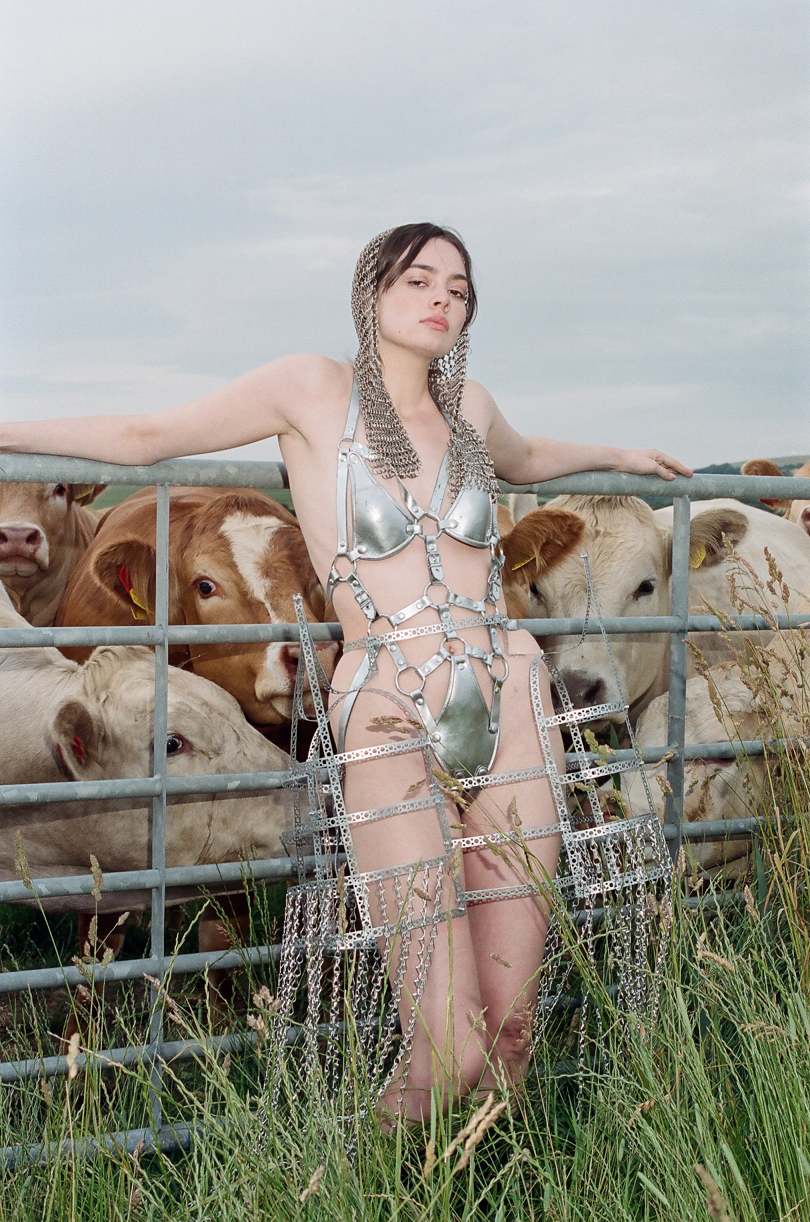 THE ELEGANT BULL — Look 4