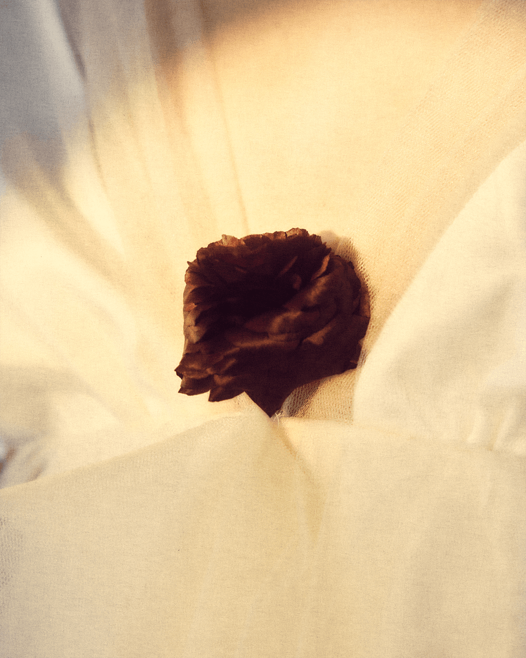 I found the flowers you gave yourself — Look 12