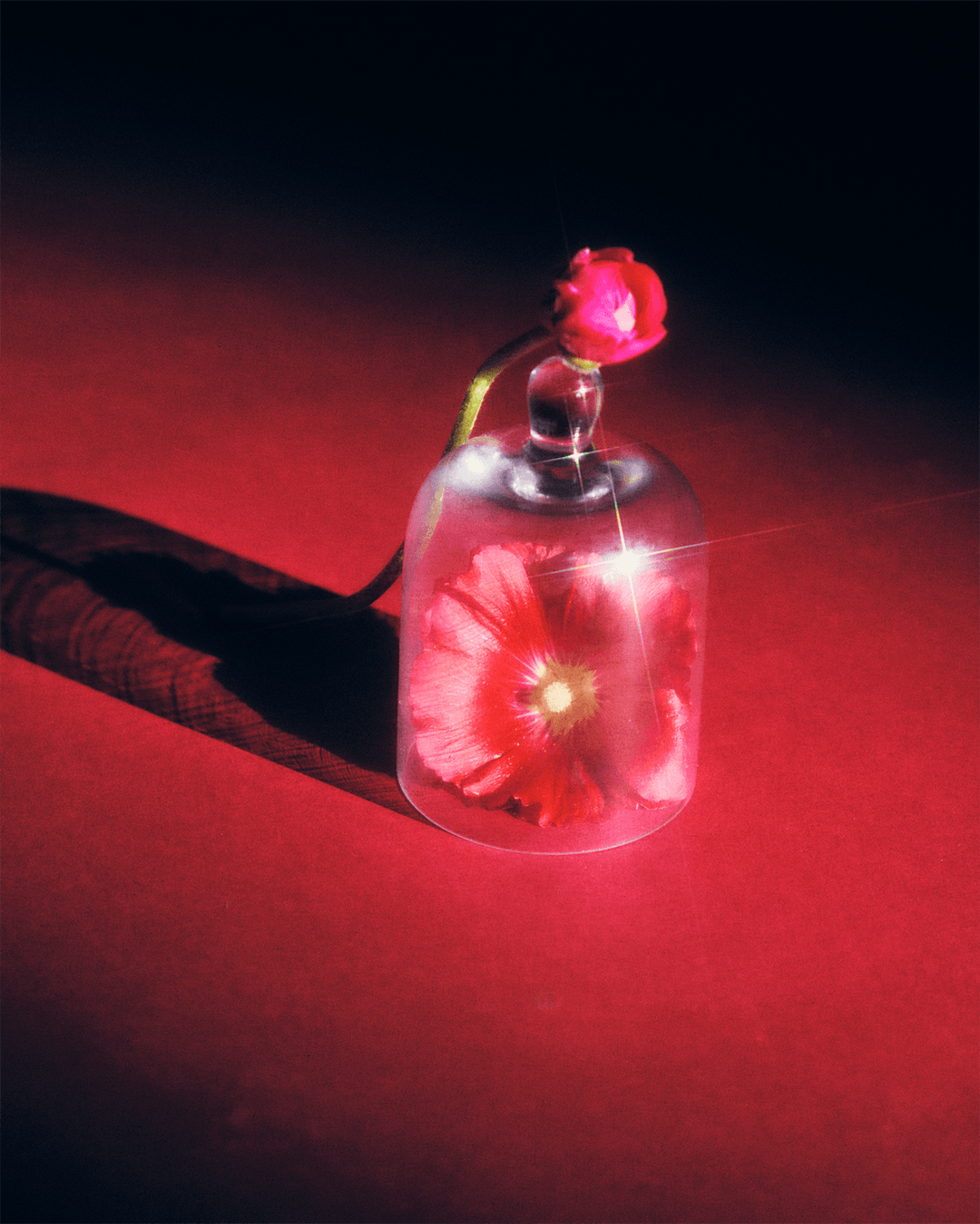 I found the flowers you gave yourself — Look 13