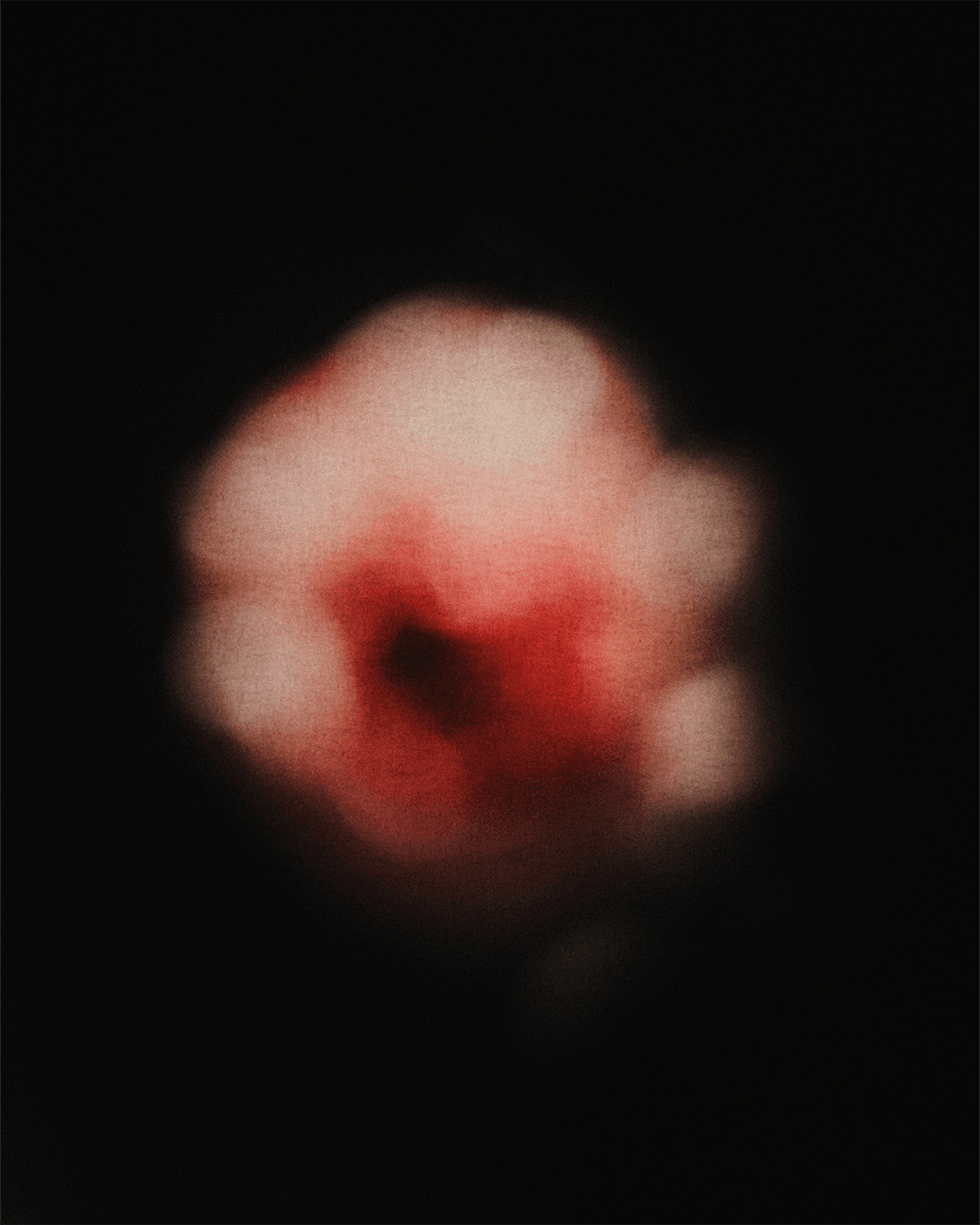 I found the flowers you gave yourself — Look 19