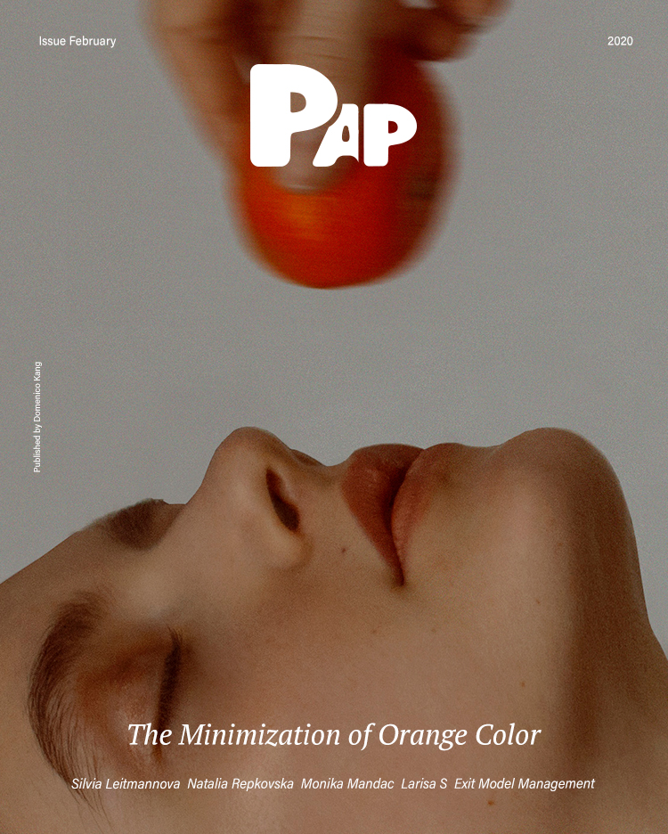 THE MINIMIZATION OF ORANGE COLOR — Cover