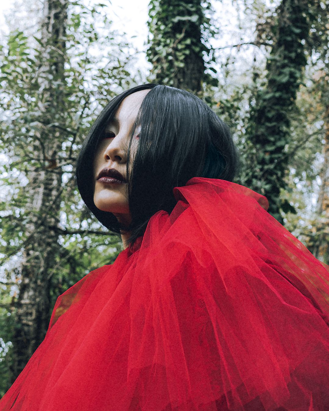 Creatures of the Woods — Look 10