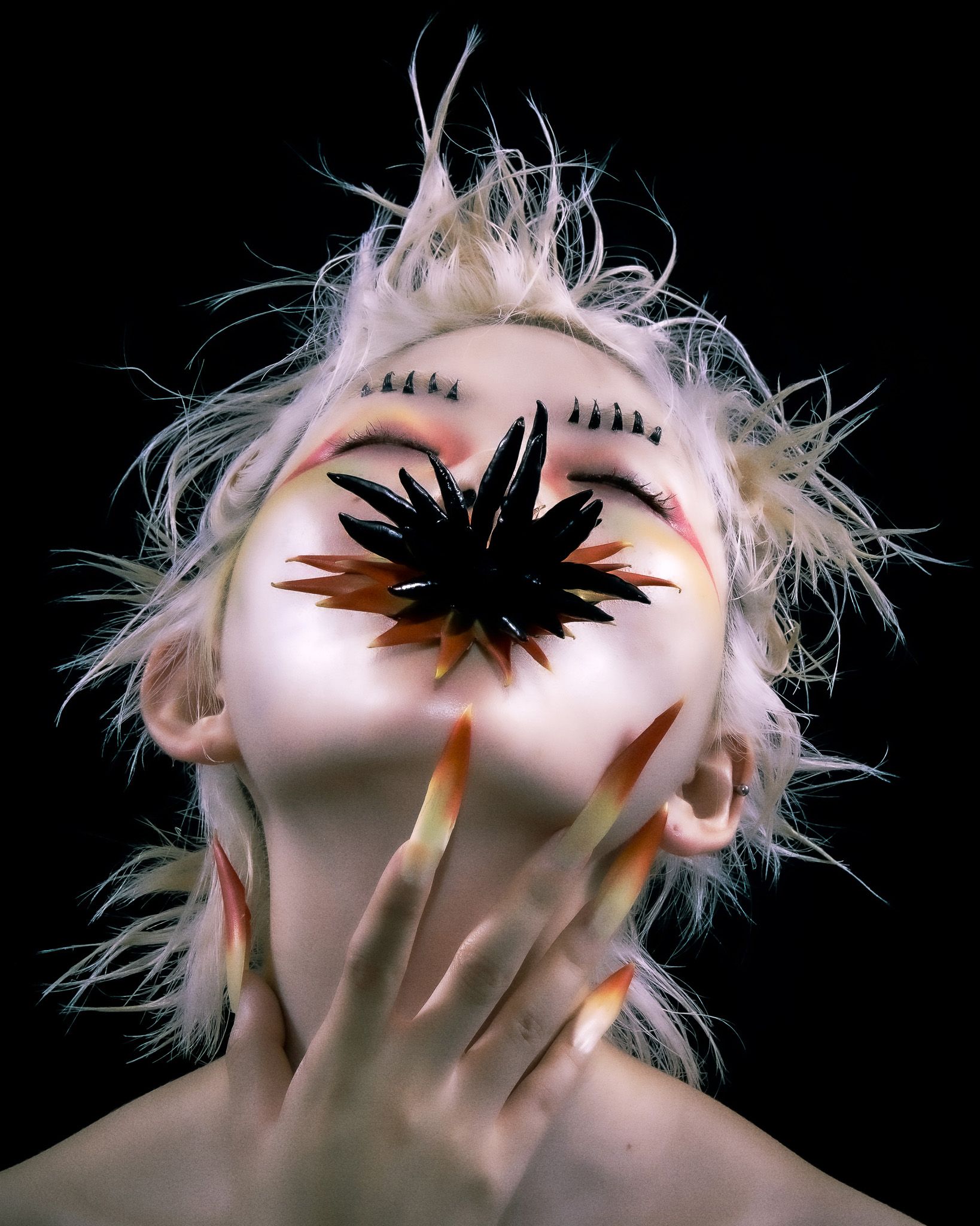 Bloom of Silence — Cover