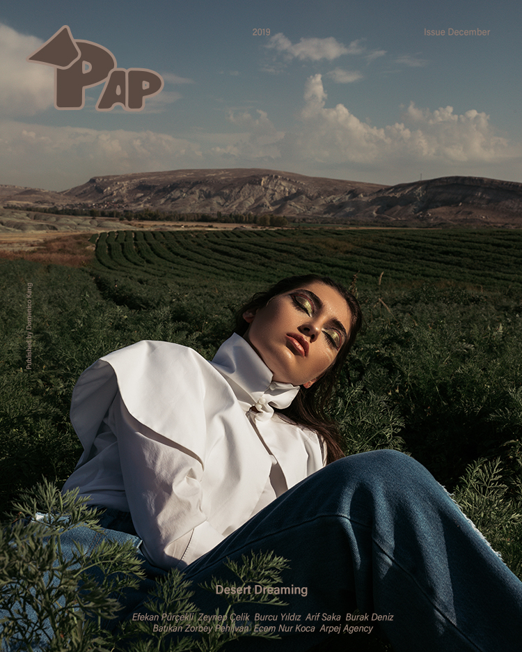 DESERT DREAMING — Look 12