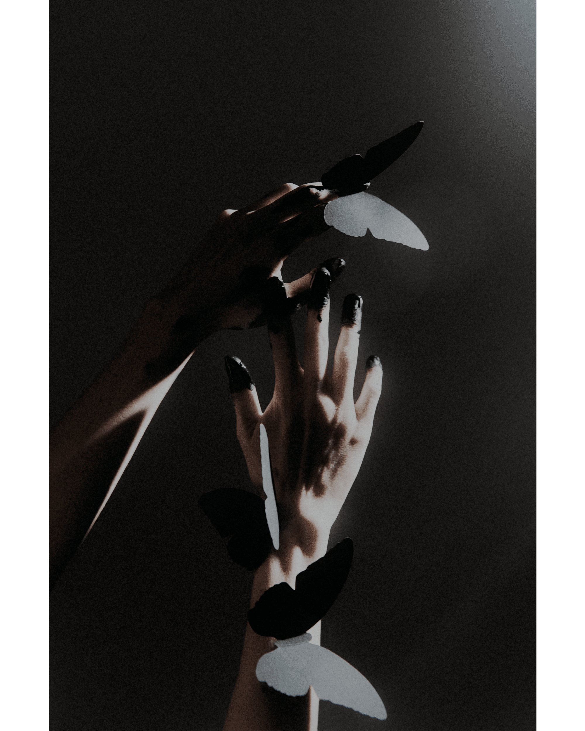 Noir — Look 13