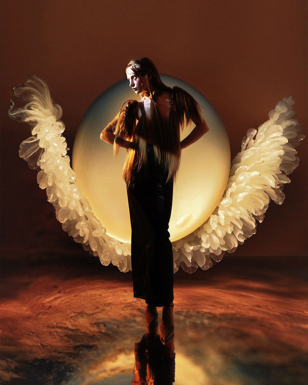 Venus — Cover