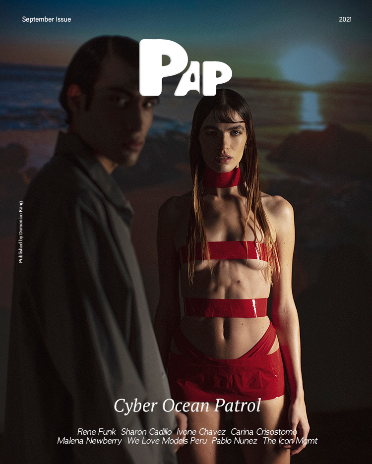CYBER OCEAN PATROL — Look 1