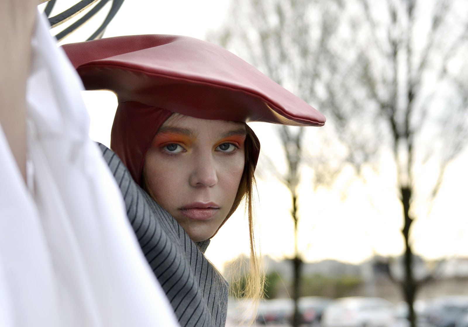 NOT THE ORANGE COUNTRY — Look 5
