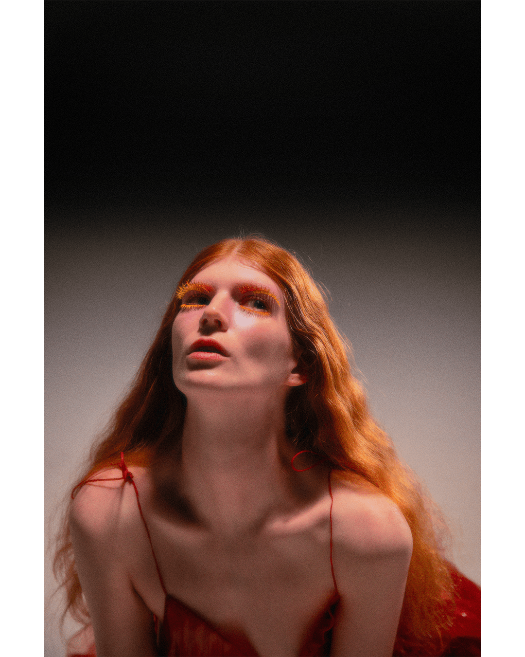 Metamorphosis — Look 3