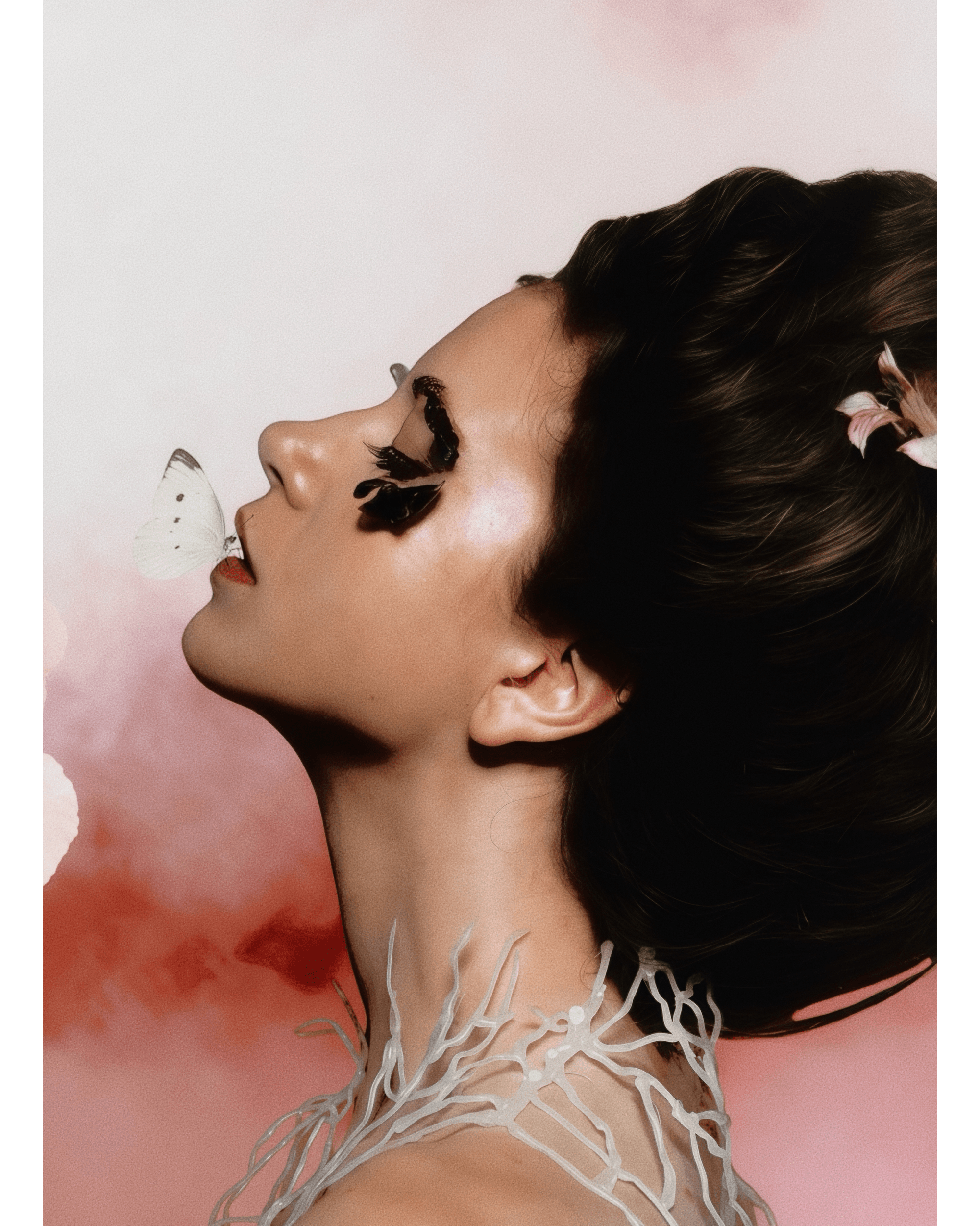 Insecta — Look 3