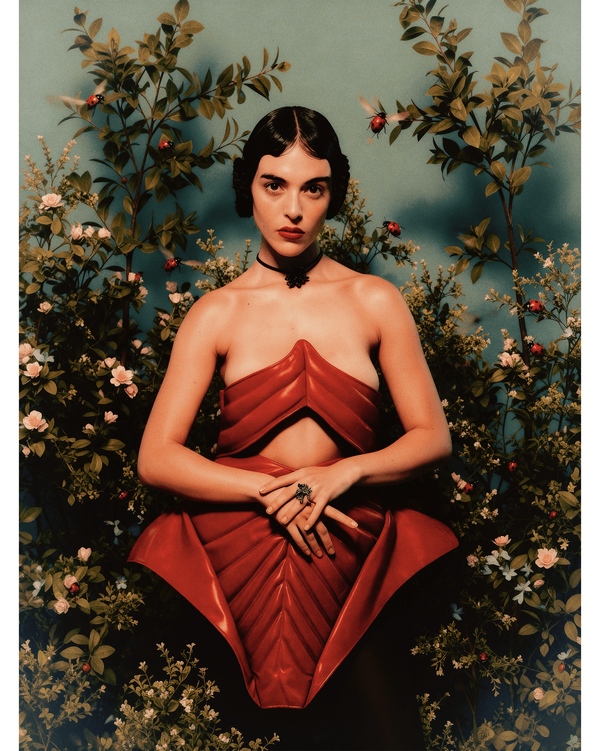 Insecta — Look 5