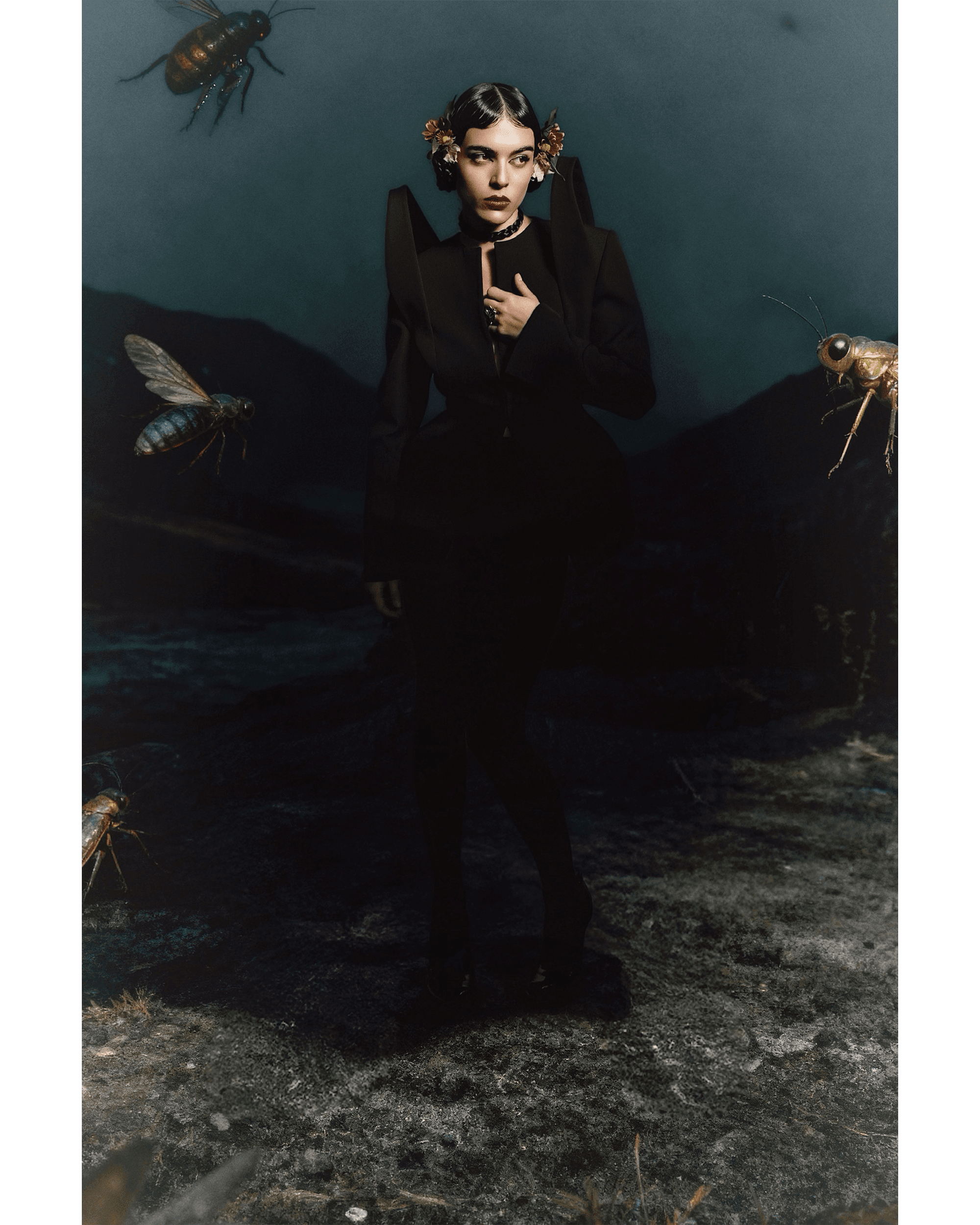 Insecta — Look 11