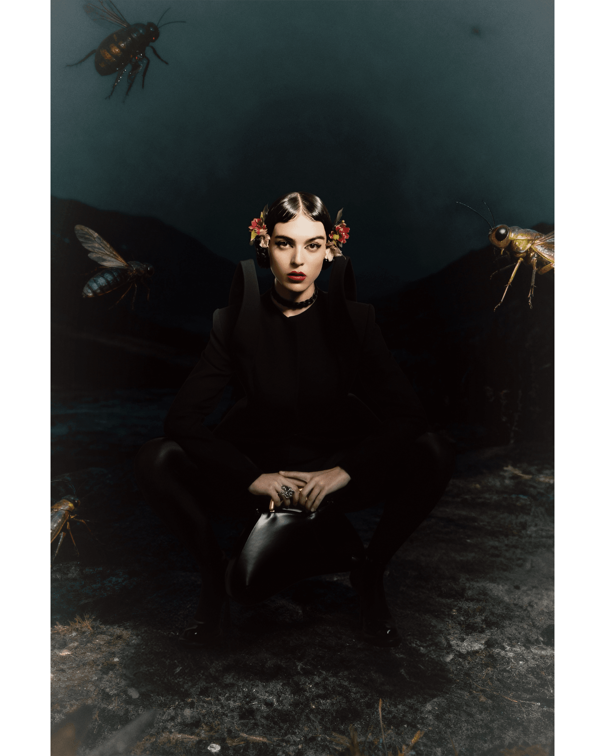 Insecta — Look 12