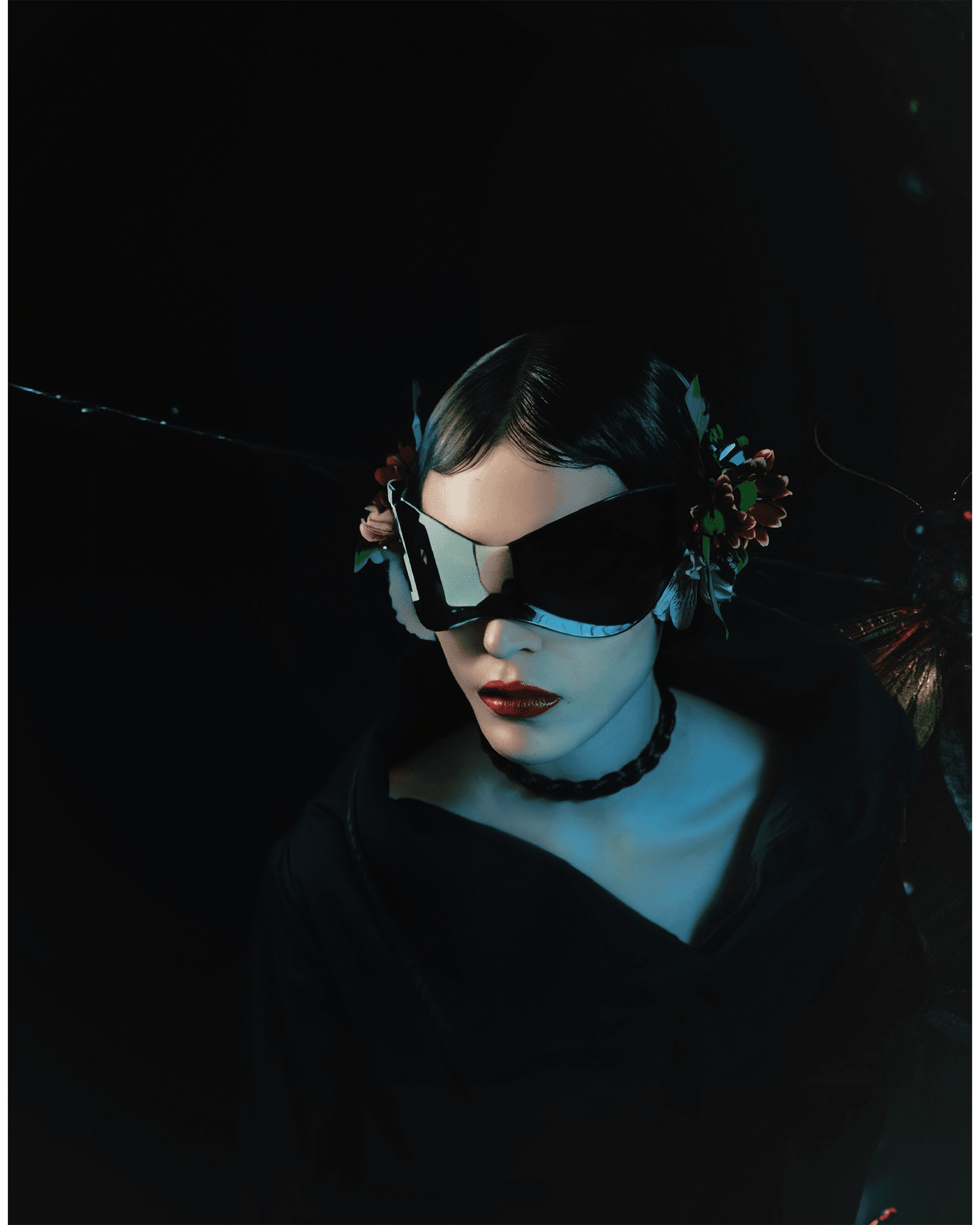 Insecta — Look 13