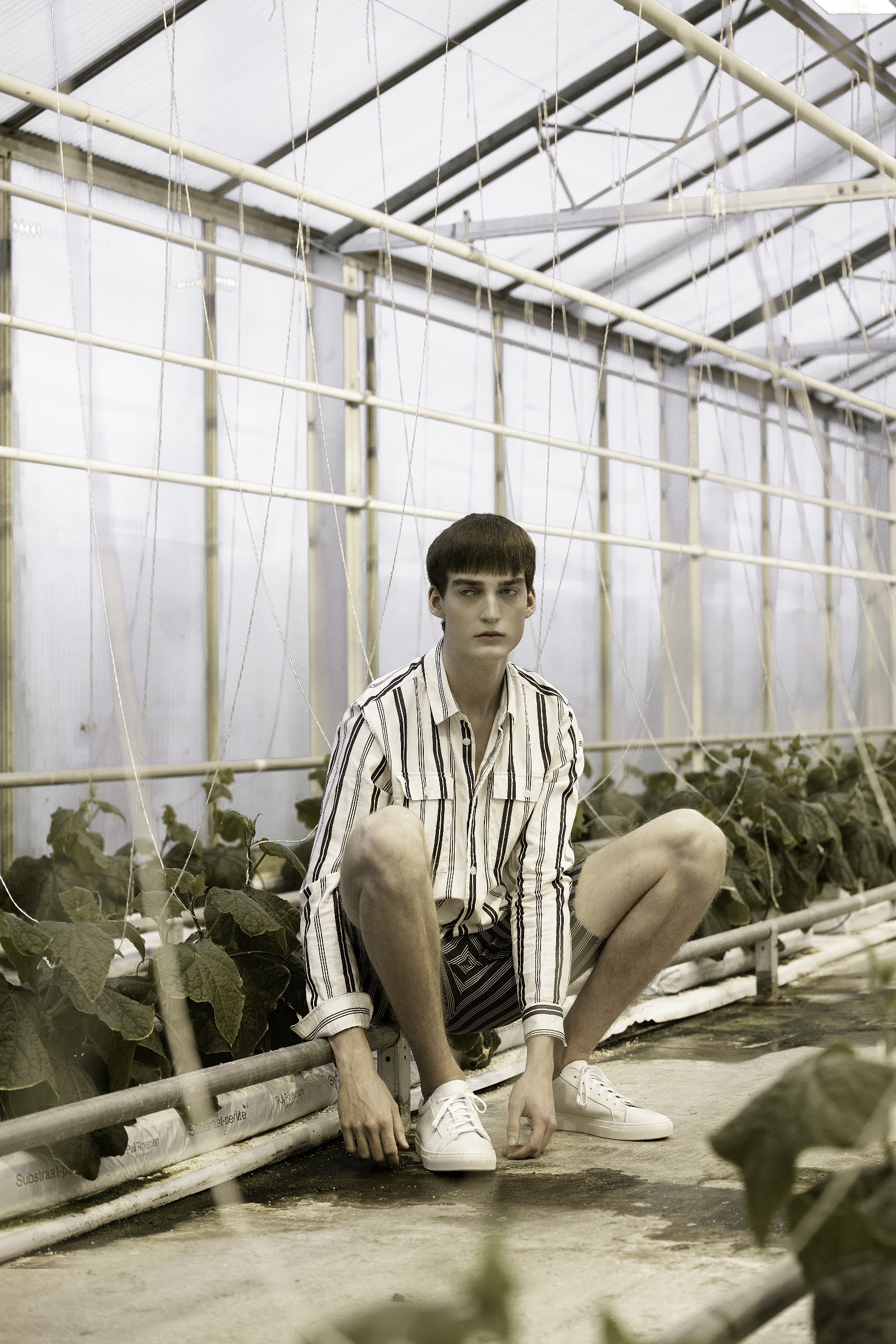 GREEN HOUSE — Look 2