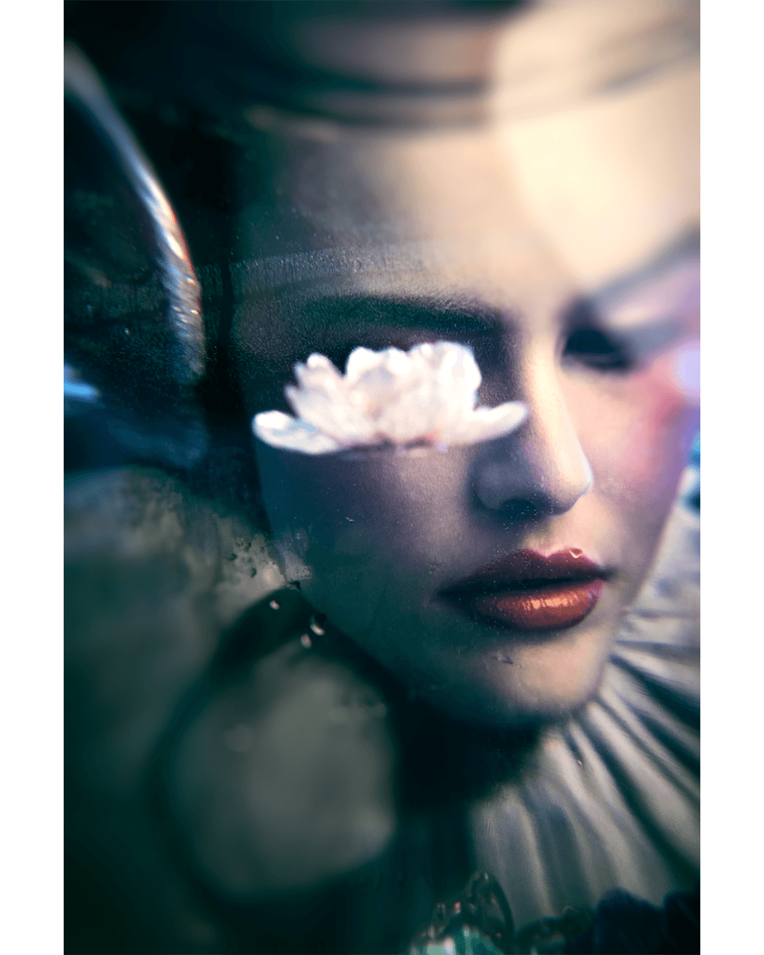 Spectrum — Look 11