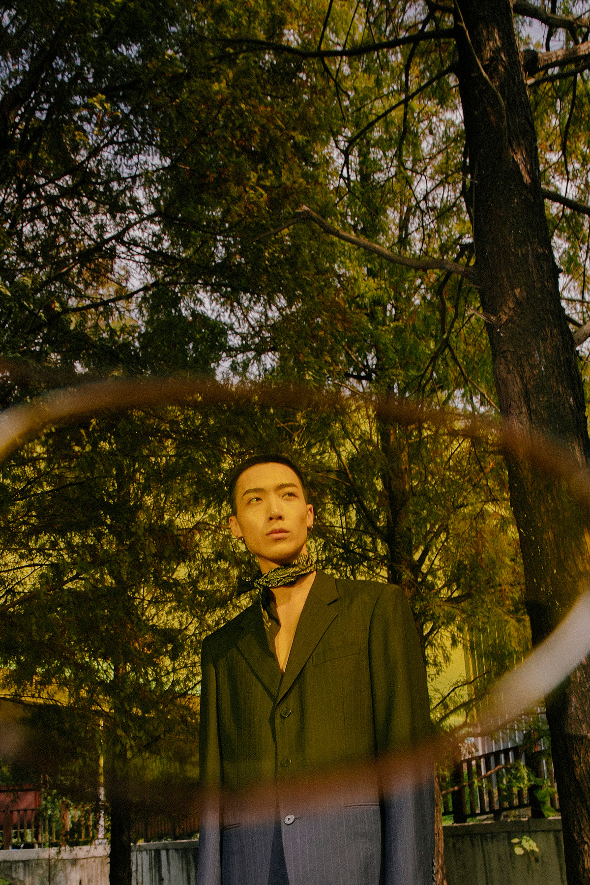 SHELTER — Look 2