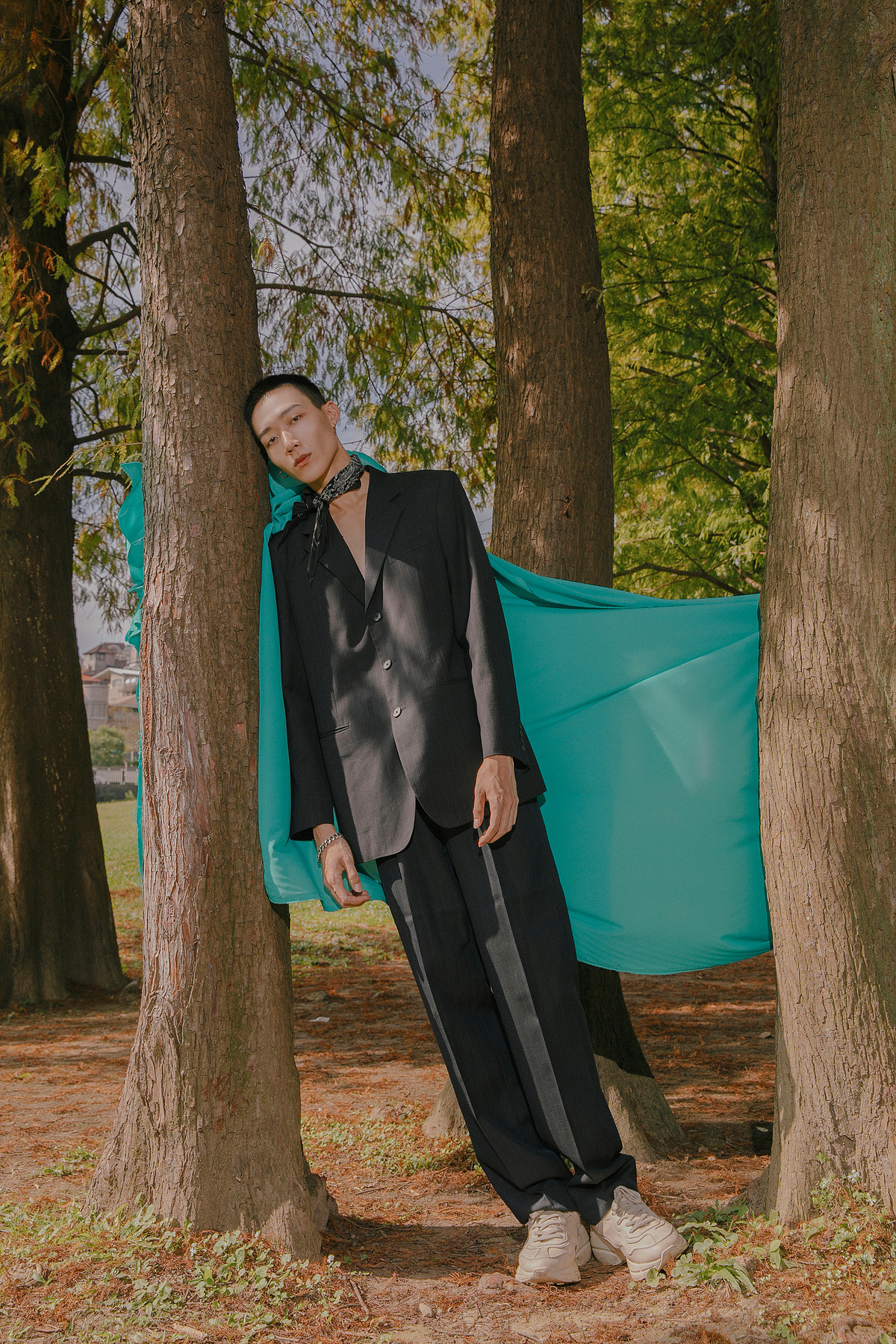 SHELTER — Look 6