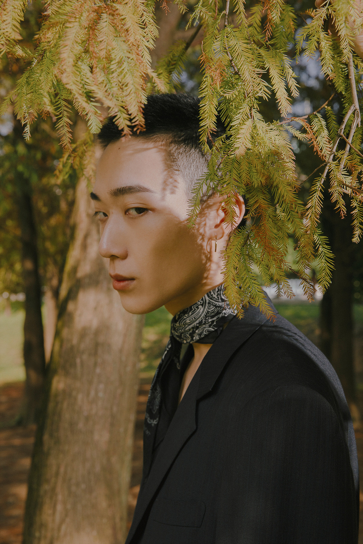 SHELTER — Look 7