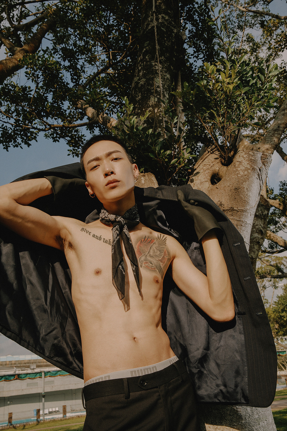 SHELTER — Look 12