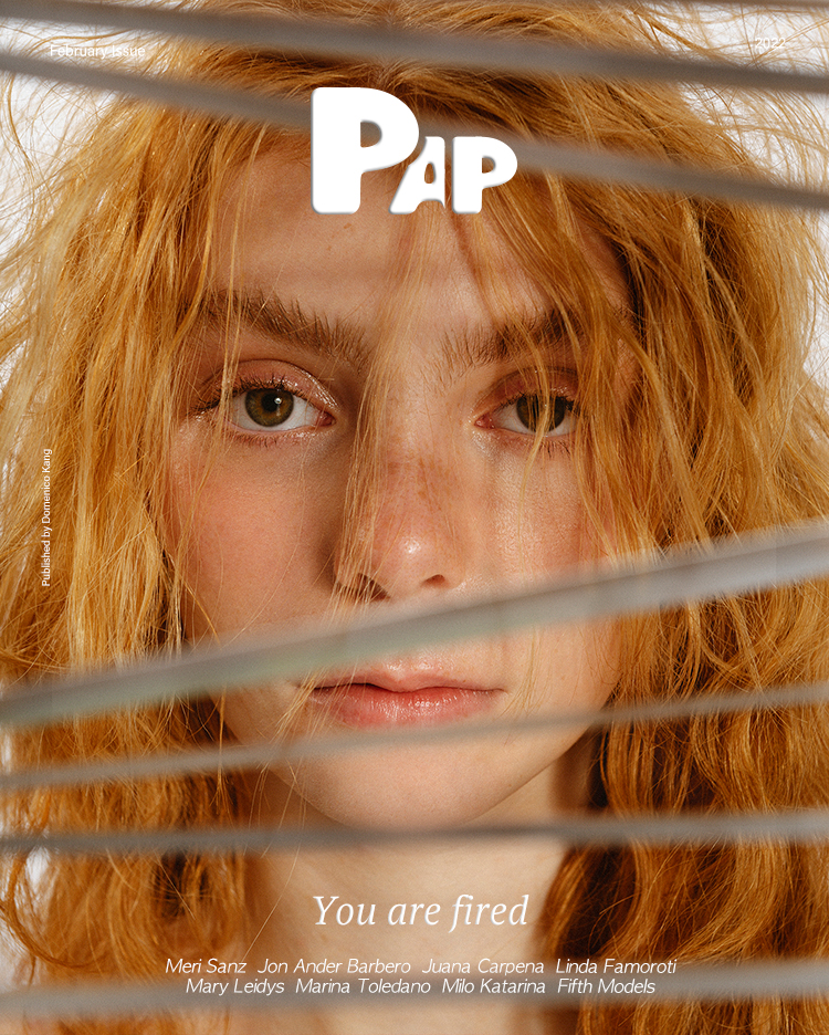 YOU ARE FIRED — Cover
