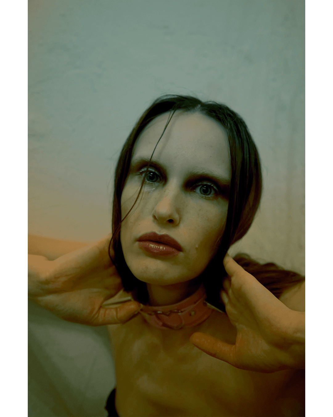 Dichotomy — Look 12