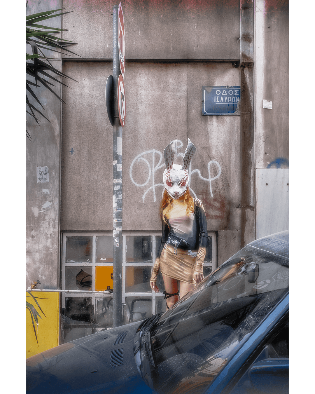 Become the white rabbit — Look 2