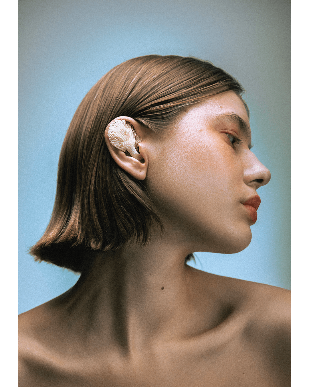 Shapes of mycelium — Look 5