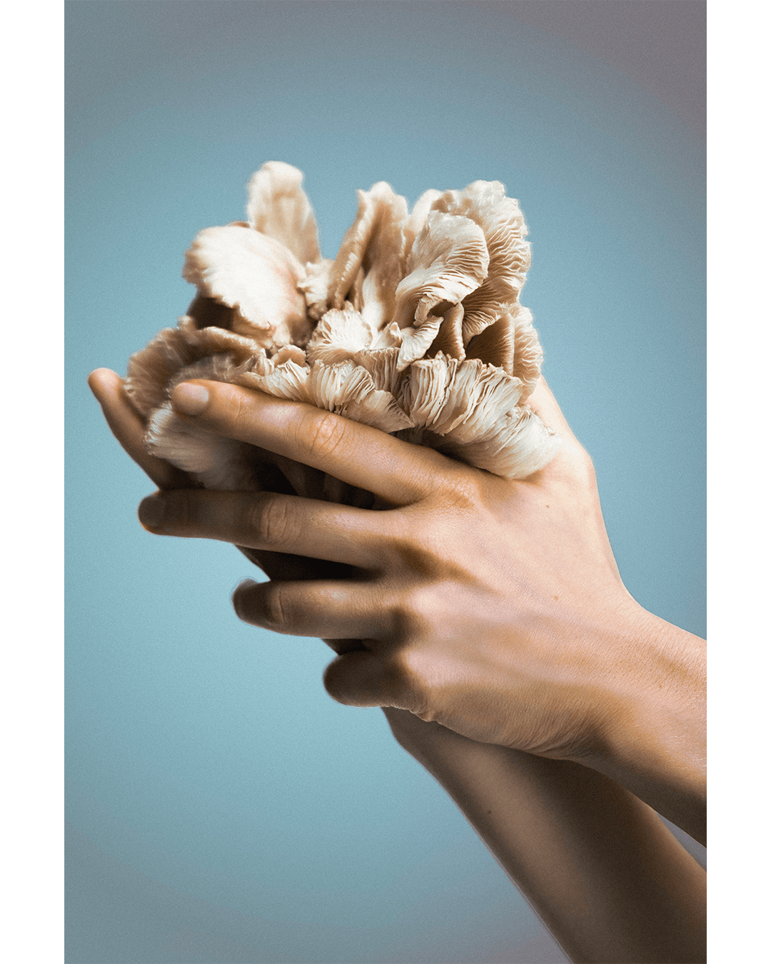 Shapes of mycelium — Look 6