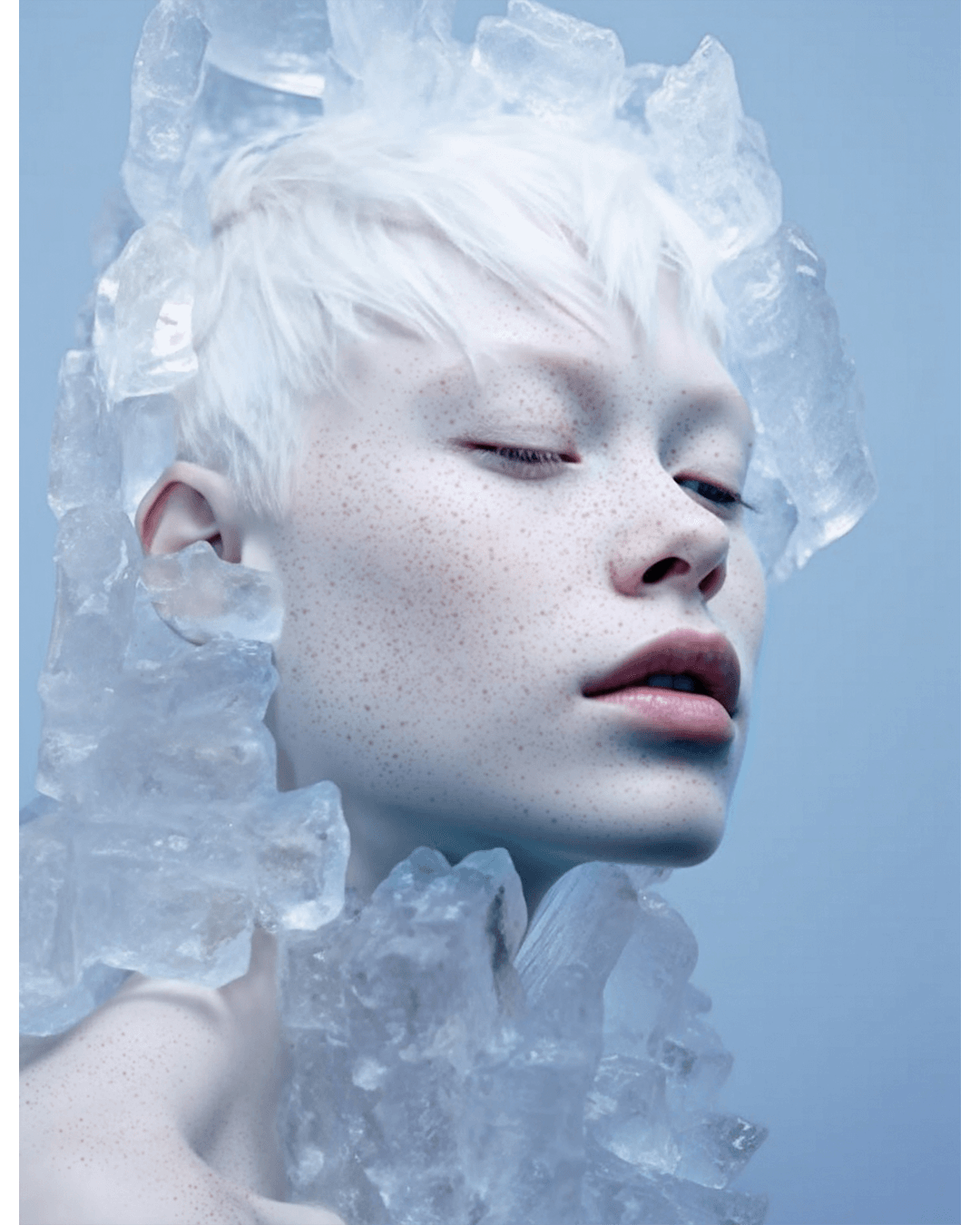 Transparency — Look 6