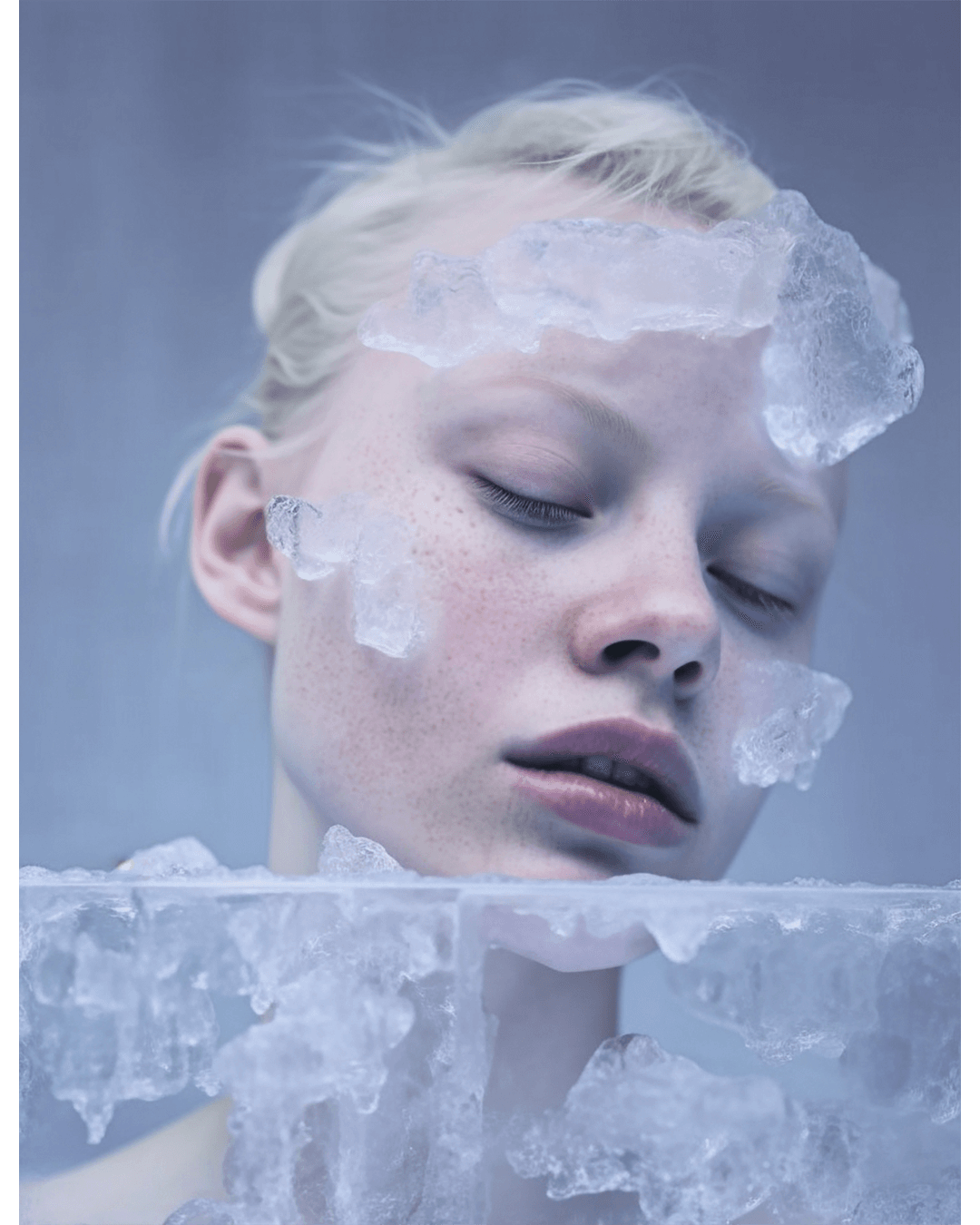 Transparency — Look 11