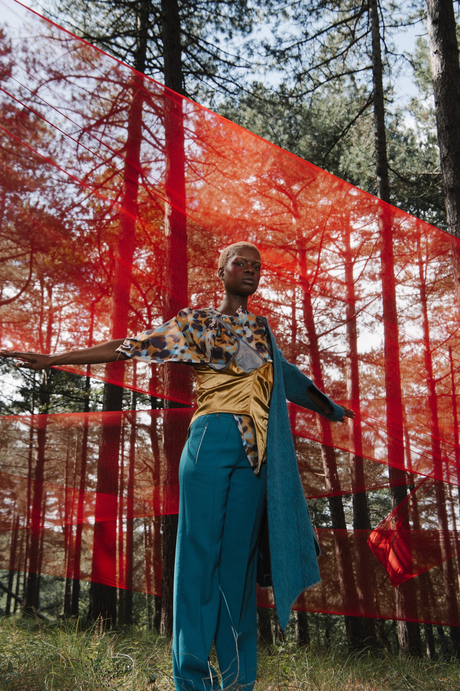 INTERMIXTURE — Look 3