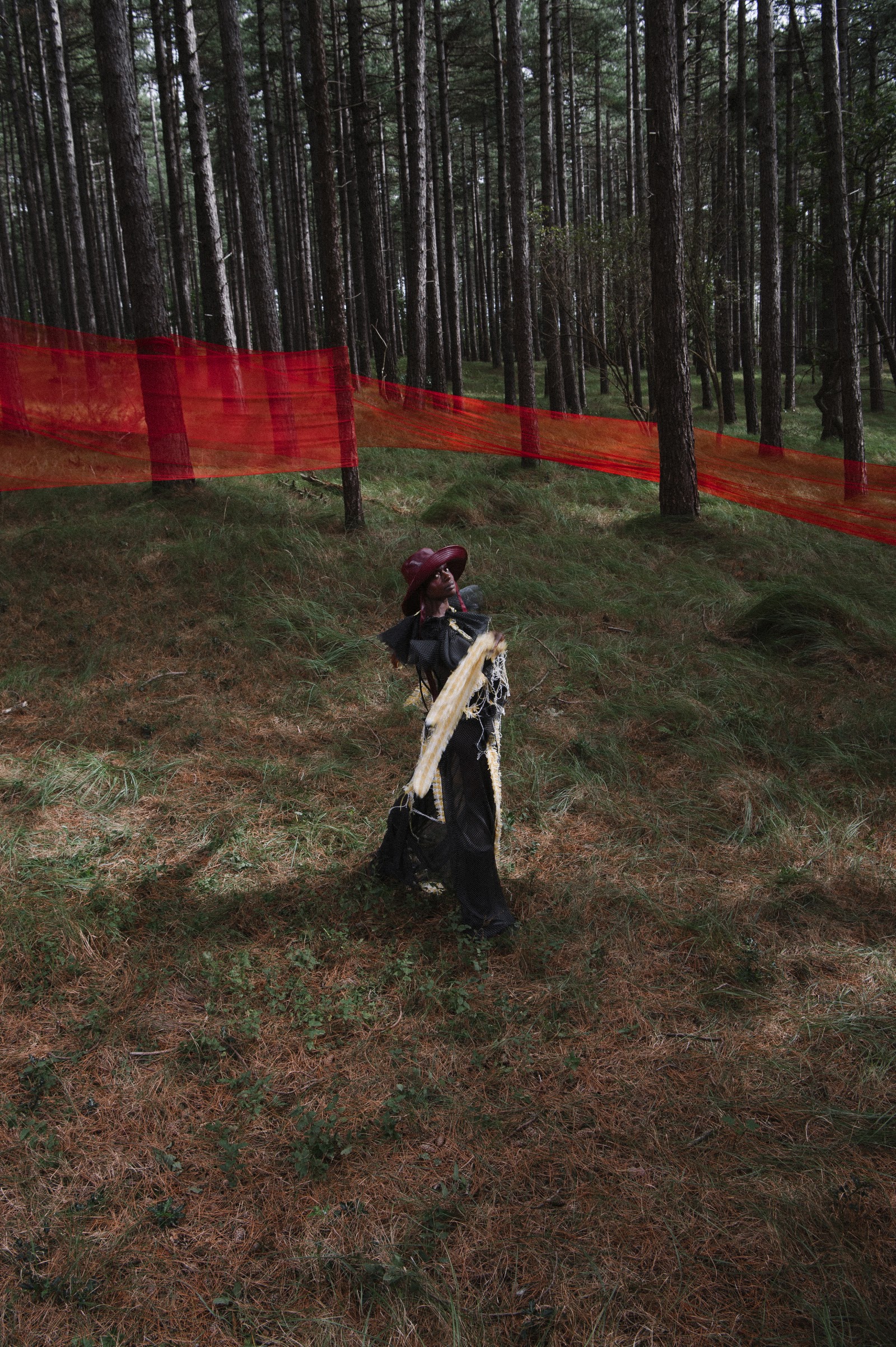 INTERMIXTURE — Look 5