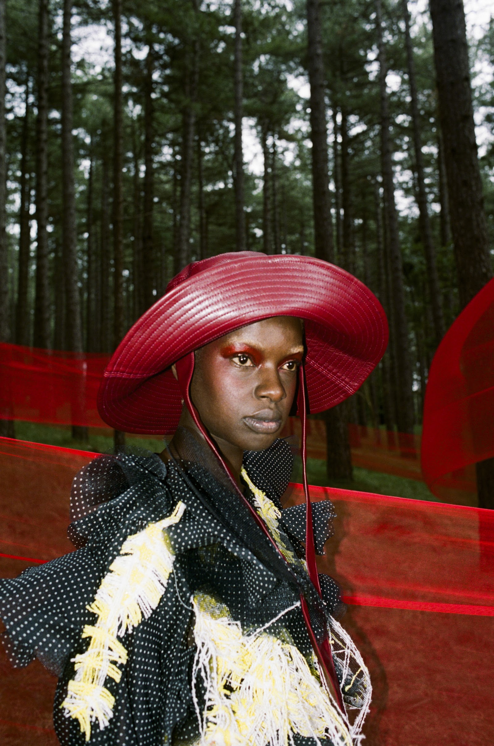 INTERMIXTURE — Look 8