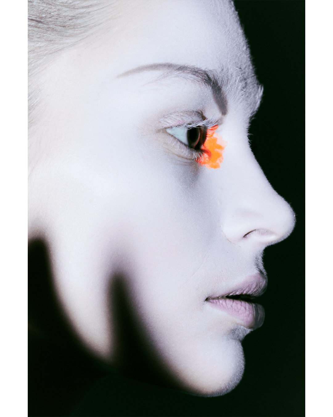 FINE LINE — Look 11