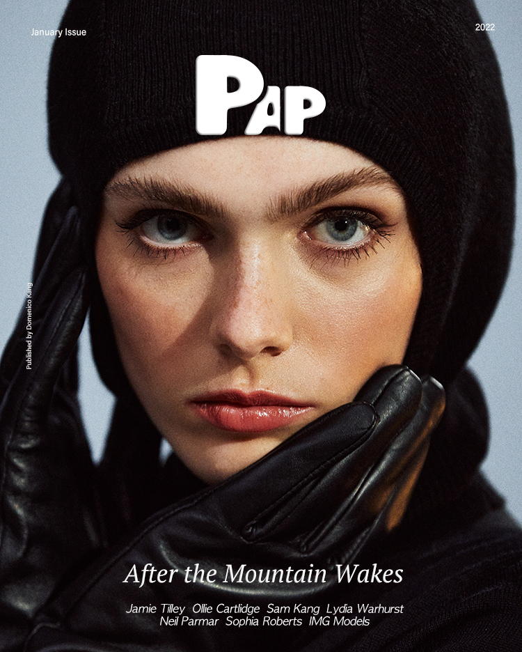 AFTER THE MOUNTAIN WAKES — Cover