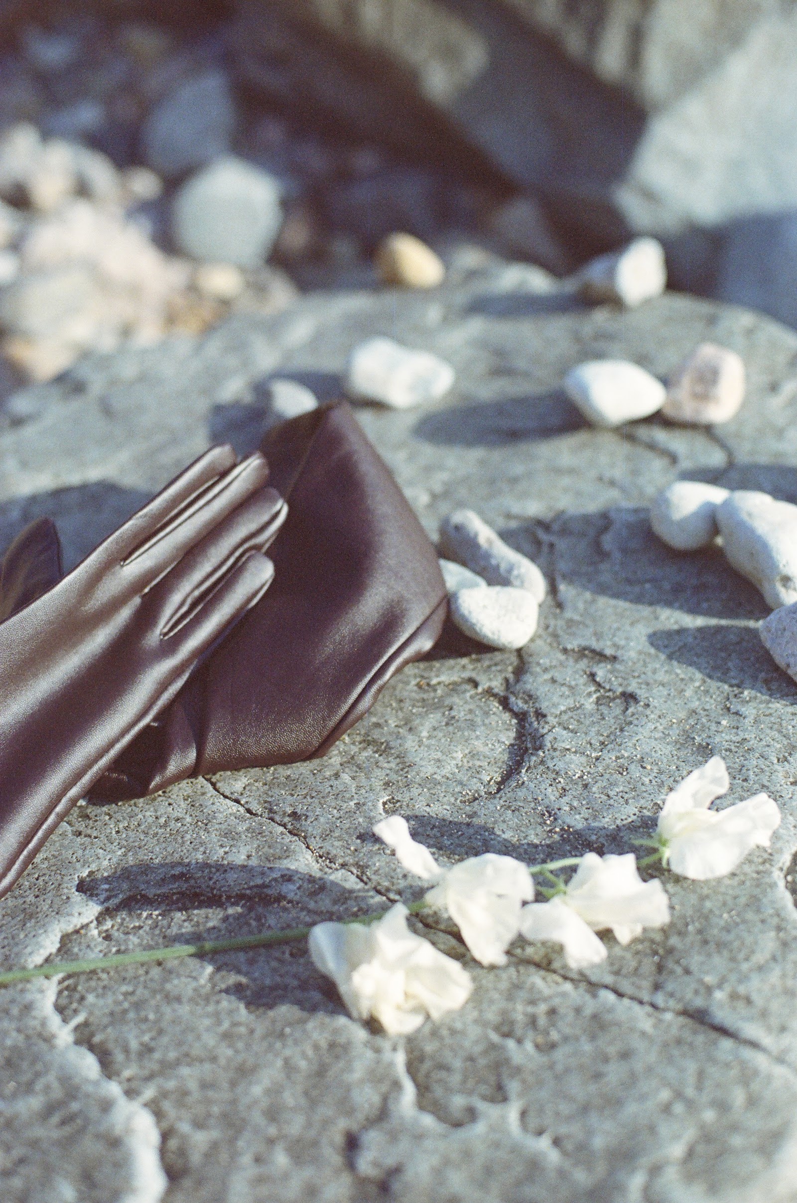 NOBODY KNOWS WHAT HAD HAPPENED — Look 6