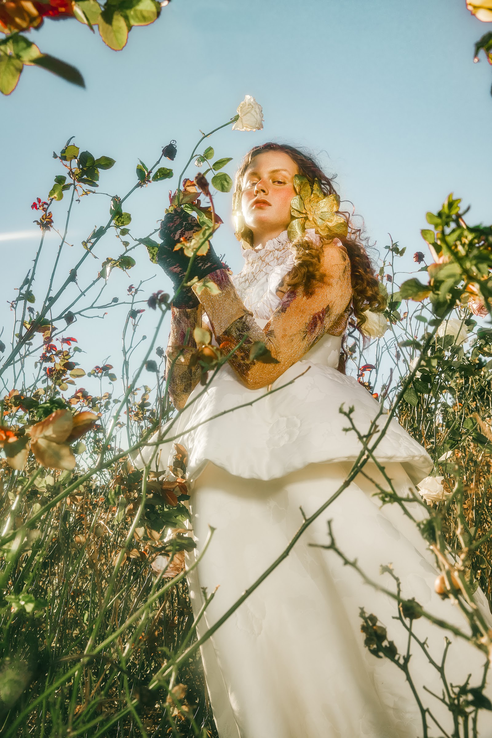 THE ROSE AND THE THORN — Look 7