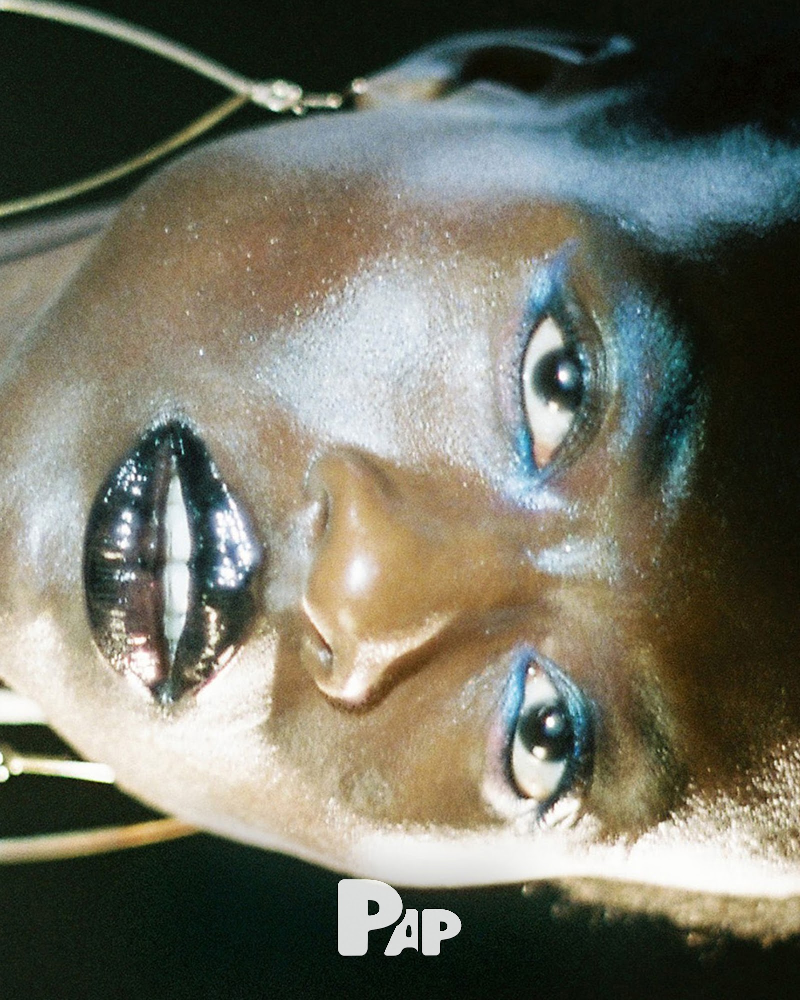 ECLIPSE — Look 8
