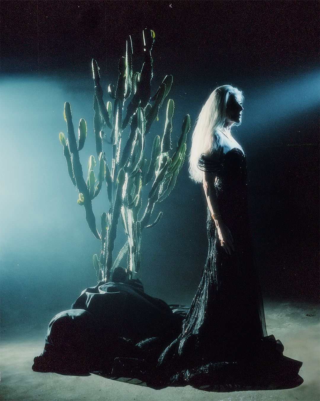 Euphorbia — Look 2
