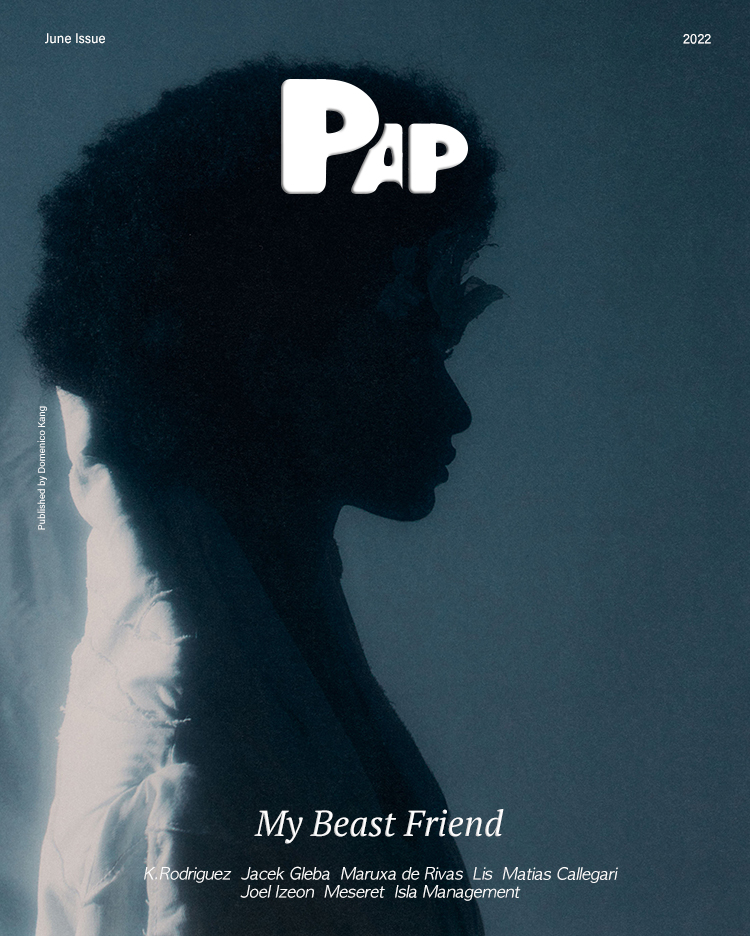 MY BEAST FRIEND — Cover