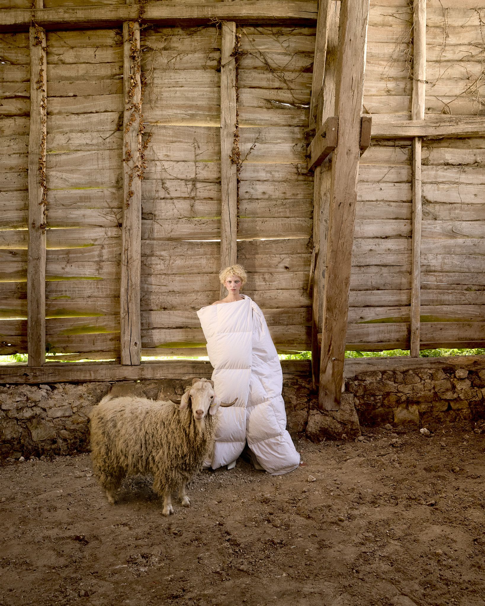 Sheepie — PAP Magazine editorial