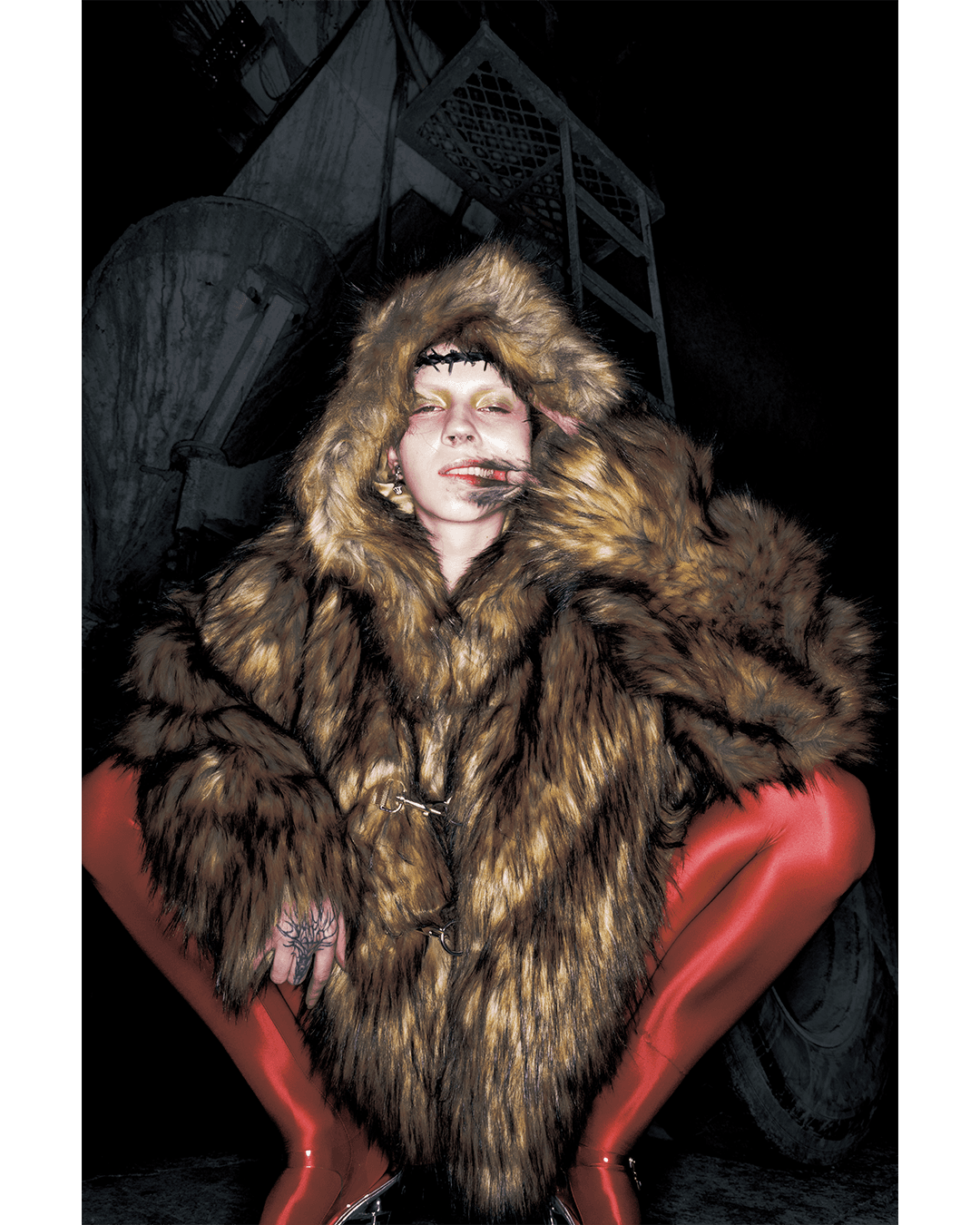 Stray Cat — Look 9