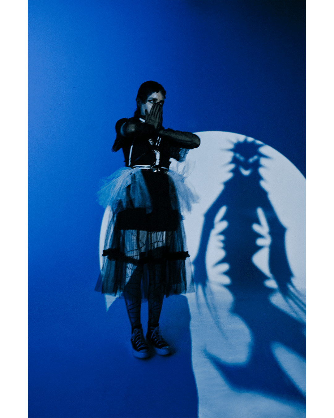 Contacting Intrinsic Shadows — Look 2