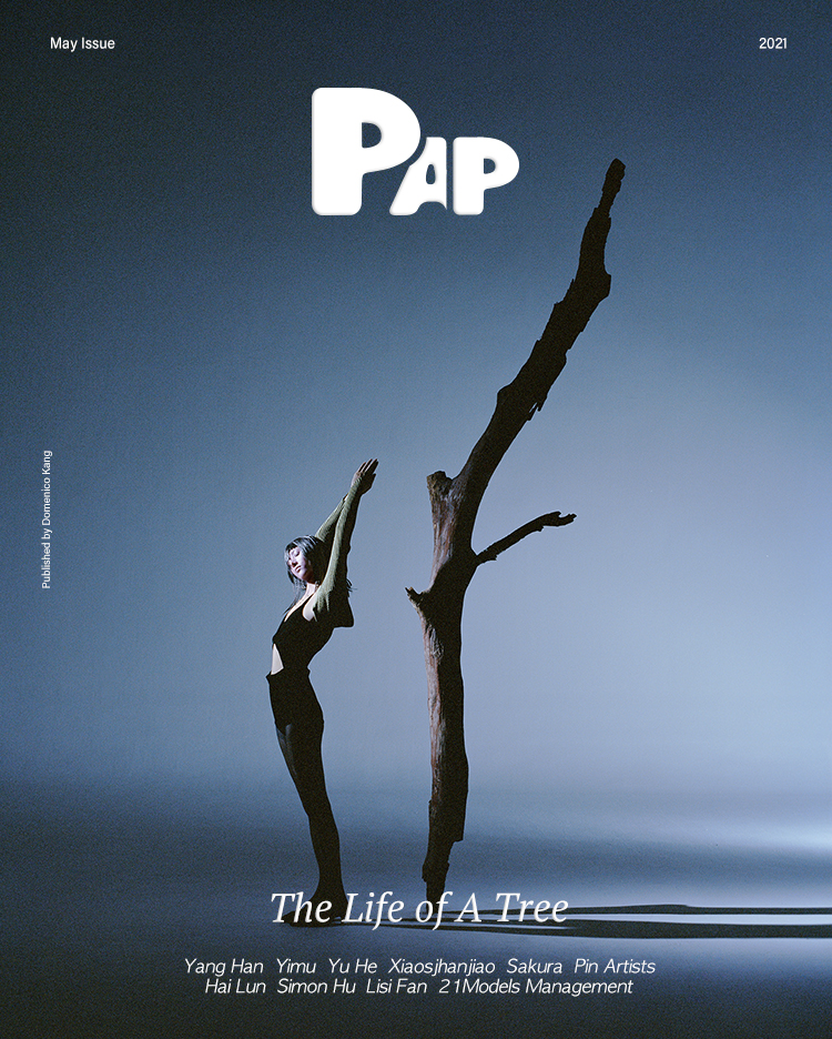 THE LIFE OF A TREE — Cover