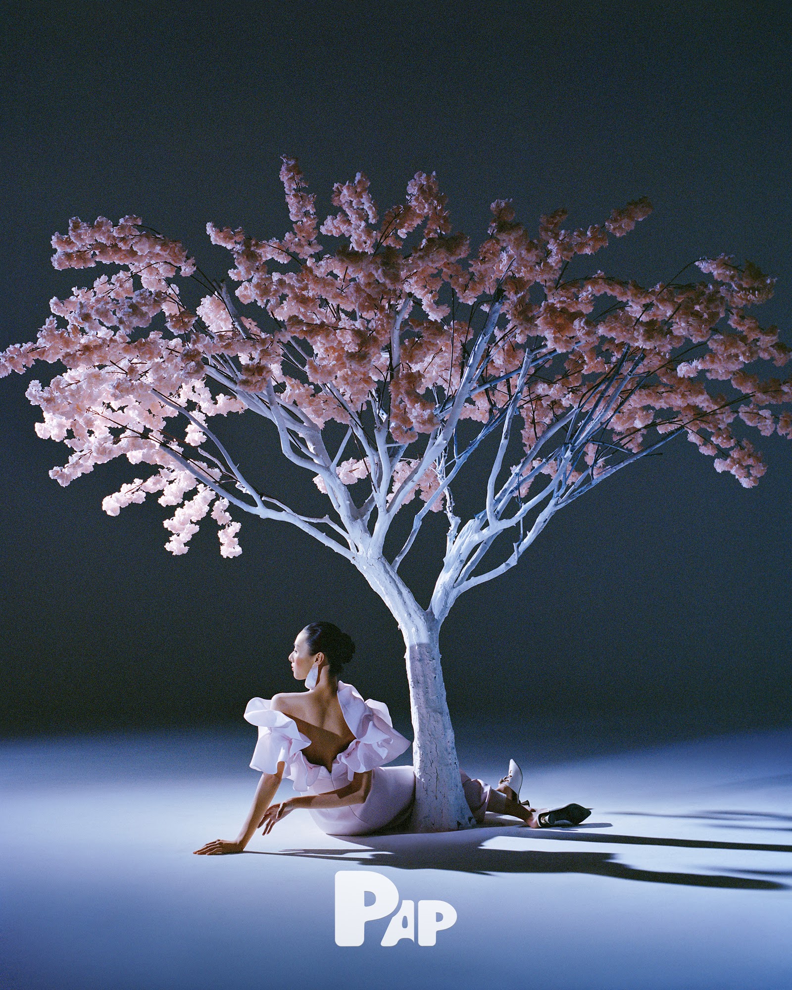 THE LIFE OF A TREE — Look 4