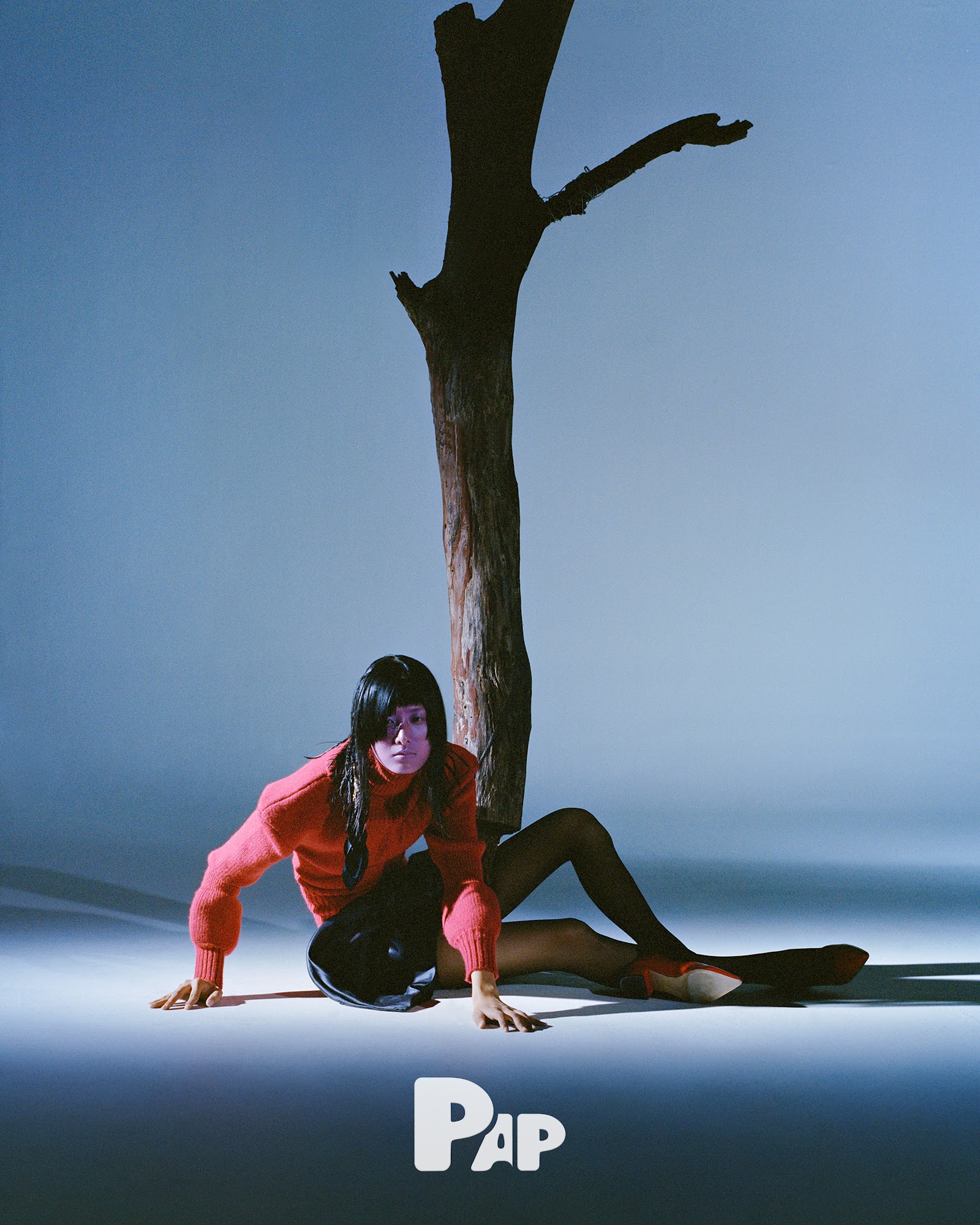 THE LIFE OF A TREE — Look 5