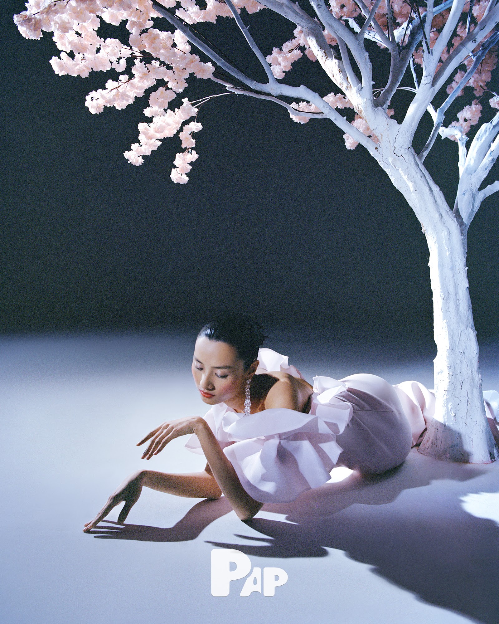 THE LIFE OF A TREE — Look 6