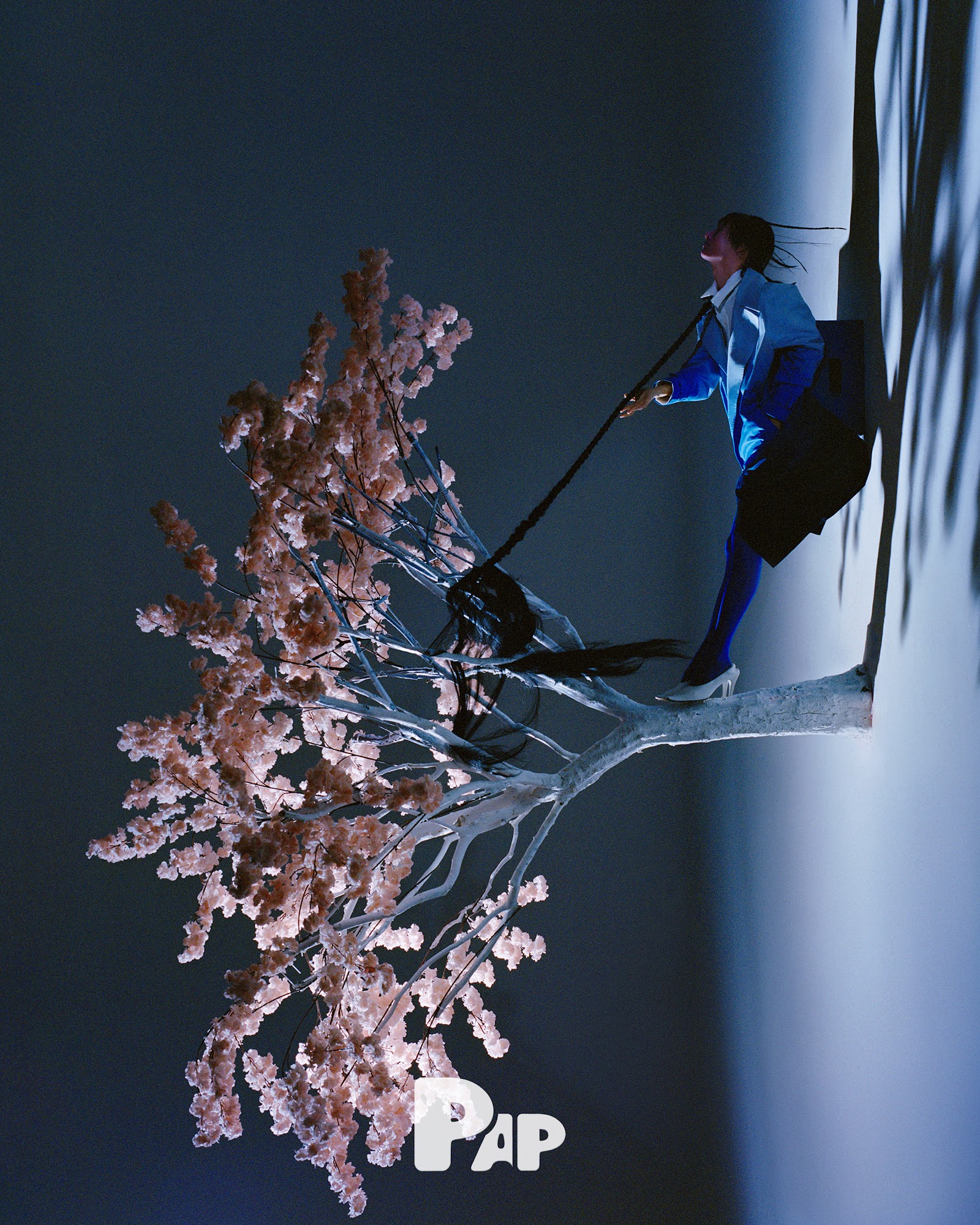 THE LIFE OF A TREE — Look 7
